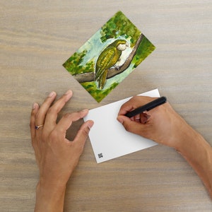 The Kakapo, Standard Postcard