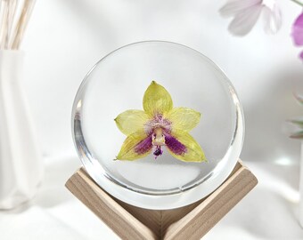 Novelty Phalaenopsis Orchid In Resin Round: Natural Flower Keepsake Gift
