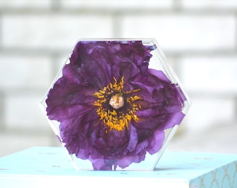 Shimadaijin Tree  Peony in Resin: Forever Natural Flower For Home Decor