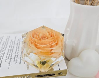 Peach Serenity Rose in Resin Crystal: Romantic Floral Keepsake Gift