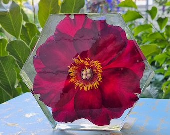 Scarlet Heaven Peony in Hexagon Resin: Nature-Inspired Home Décor