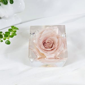 Soft Harmony Rose in Resin Cube: Romantic Floral Keepsake Gift