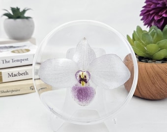 Delanti's Lady Slipper in Resin Round (3.5"): Real Orchid Flower Keepsake Gift
