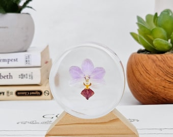 Novelty Phalaenopsis Orchid In Resin Round(2"): Natural Flower Keepsake Gift