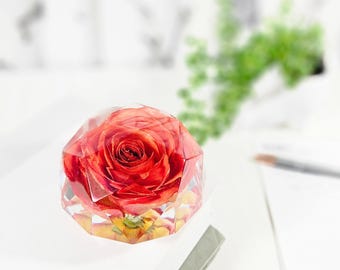 Amber Red Rose in Resin Geo Dome: Botanical Floral Paperweight