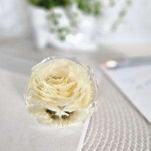 Forever White Rose in Resin Geo Dome: Natural Flower Ornament