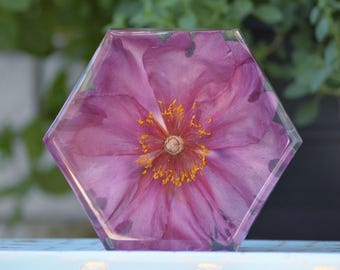 Yankee Doodle Dandy Itoh Peony in Resin Hexagon: Nature-Inspired Home Décor