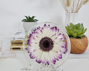 Lavender Frost Gerbera Daisy in Resin: Nature Inspired Keepsake Gift