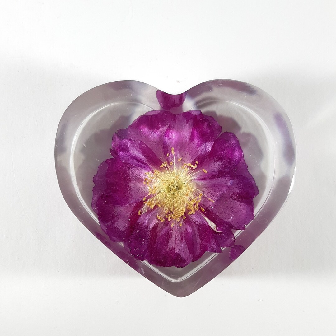 Henry Kelsey Rose in Resin, Real Flower Resin Ornament, Forever Flower