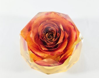 High and Magic Rose Resin Ornament, Forever Nature Flower, Gift for Anniversary, Valentine's, Mother's, Wedding, Christmas, Birthday, Friend
