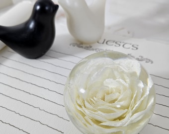 White Rose In Resin Sphere: Timeless Elegance Keepsake Gift