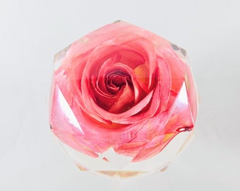 Coral Pink Rose Resin Ornament - Forever Real Flower, Gifts for Anniversary, Valentine's, Mother's/ Daughter, Wedding, Christmas, Birthday