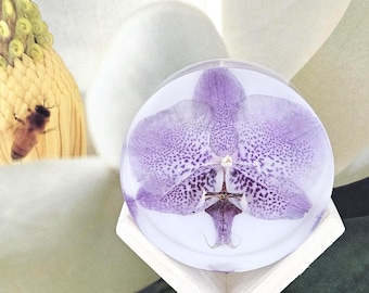 Purple Phalaenopsis Orchid in Resin Round (2.6"): Elegant Flower Keepsake Gift