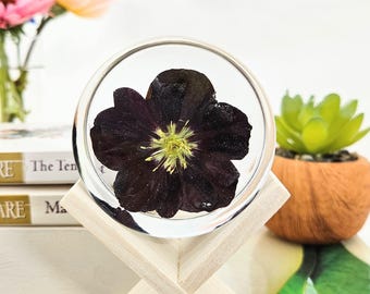 Black Helleborus  In Resin Round: Natural Flower Keepsake Gift
