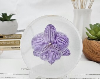 Lilac striped Phalaenopsis Orchid in Resin Round (3.8"): Elegant Flower Keepsake Gift