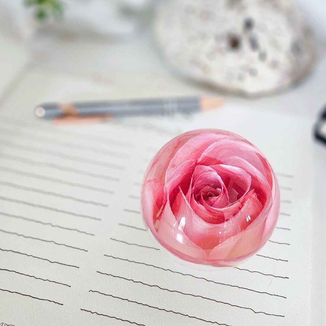 Rosewood Pink Rose in Resin Sphere: Romantic Preserved Flower Gift - Etsy