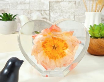 Coral Charm Peony In Upright Resin Heart: Everlasting Flower Keepsake Gift