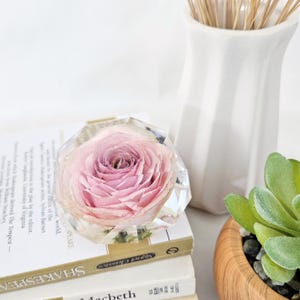 Dreamy Pink Rose in Resin Geo Dome: Real Floral Decorative Keepsake Gift