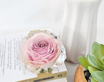 Dreamy Pink Rose in Resin Geo Dome: Real Floral Decorative Keepsake Gift