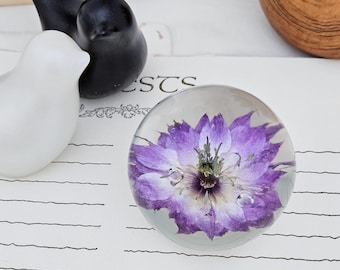 Purple Nigella Flower in Resin Sphere: Real Love-in-a-Mist Encased in Clear Crystal Ball