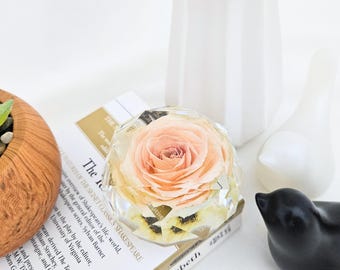 Champagne Blush Rose In Resin Geo Dome: Real Floral Keepsake Gift