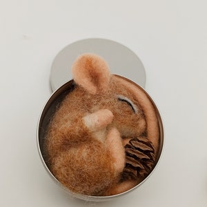 Cinnamon-colored box sleeper, schooling, dormouse, felt mouse