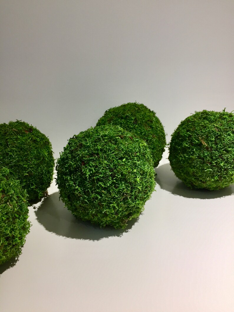 Set of 5 Green MOSS BALLS by Art de Moss® for Table Setting Etsy