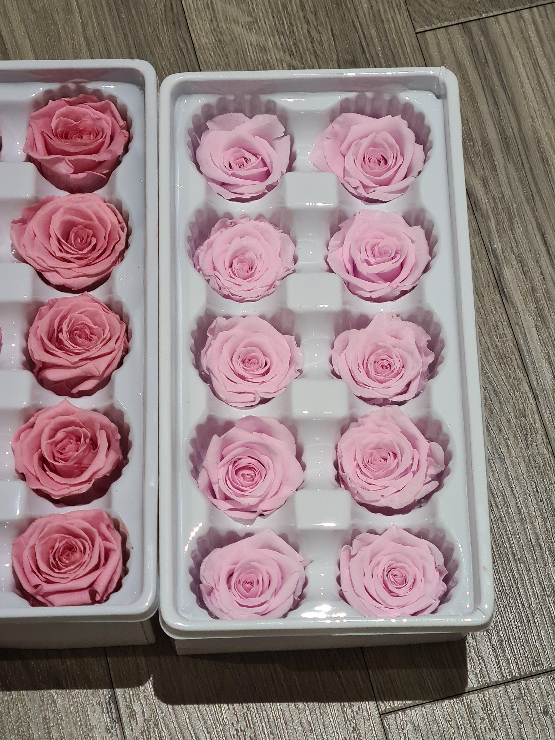 10 Red Roses per Box REAL Always FRESH Roses Preserved Etsy Ireland