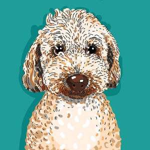 Pet Portrait on Solid Color image 7