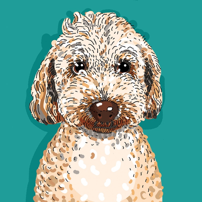 Pet Portrait on Solid Color imagem 7