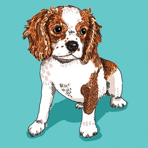 Pet Portrait on Solid Color image 1