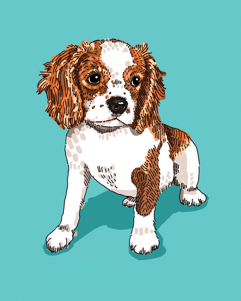 Pet Portrait on Solid Color image 1