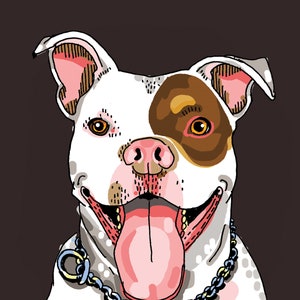 Pet Portrait on Solid Color image 9