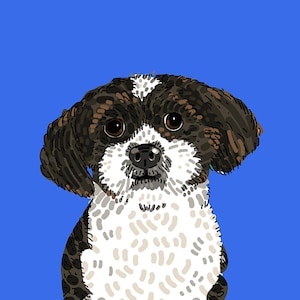 Pet Portrait on Solid Color image 2