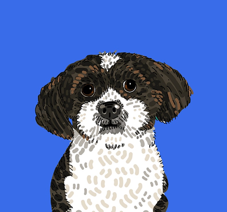 Pet Portrait on Solid Color image 2