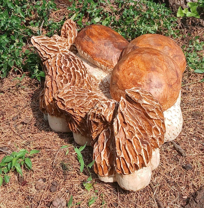 2 Funghi Decorativi In Metallo Colorati Per Giardino - Sculture Da Esterno Impermeabili