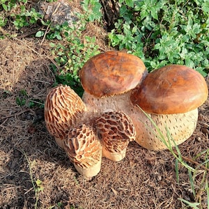 2 Funghi Decorativi In Metallo Colorati Per Giardino - Sculture Da Esterno Impermeabili