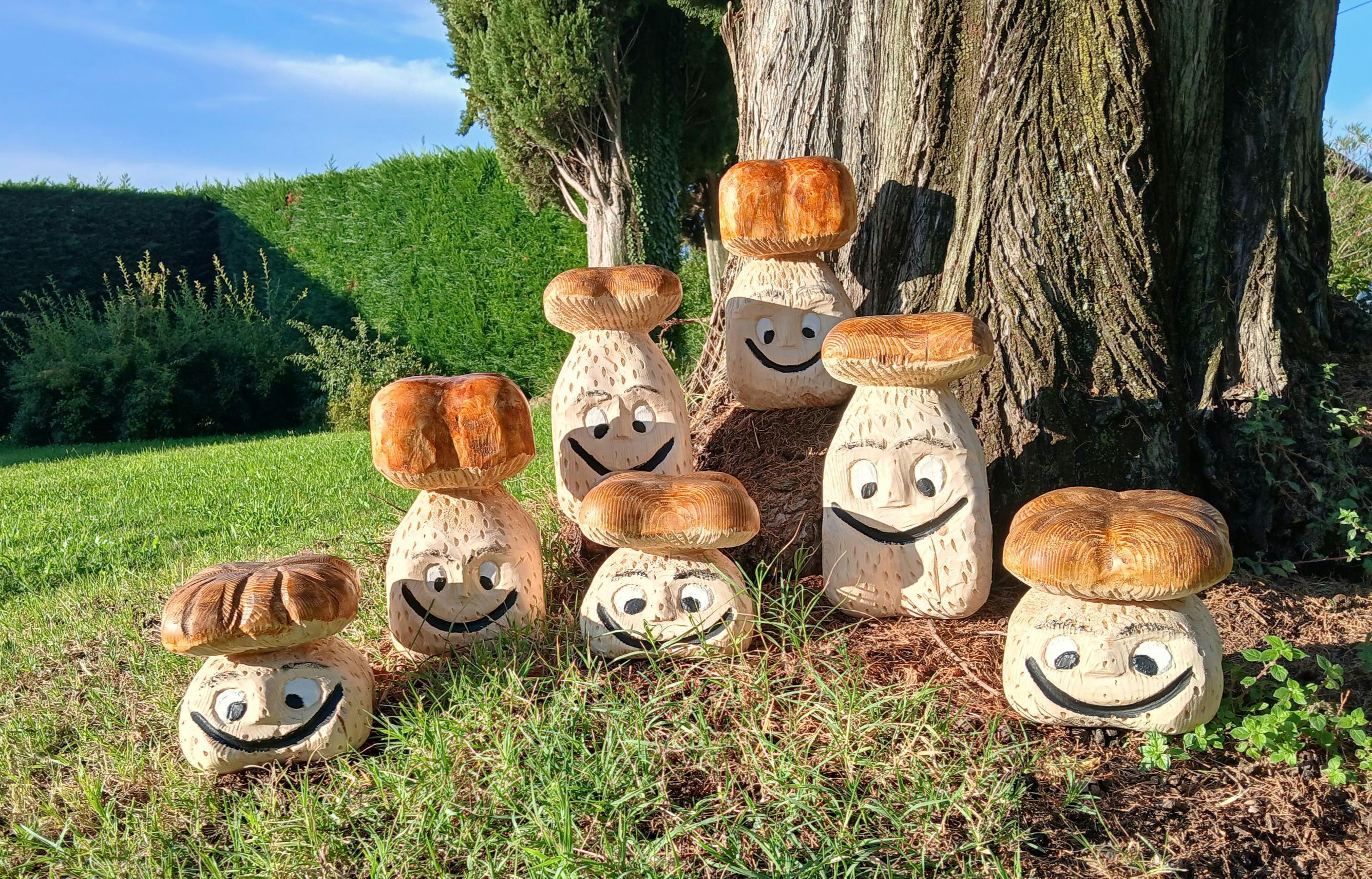 Danevos Handgemalte 3D-Pilzkunst Fliegenpilz Im Holzrahmen – Heimdekoration 10x15 Cm