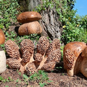 Peut inclure: Une collection de sculptures de champignons en bois, dont un grand champignon blanc avec un chapeau brun, un champignon brun plus petit avec un pied blanc et plusieurs morilles brunes.