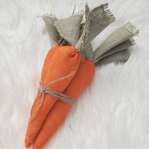May include: Two orange burlap carrots tied together with twine and topped with brown burlap leaves.