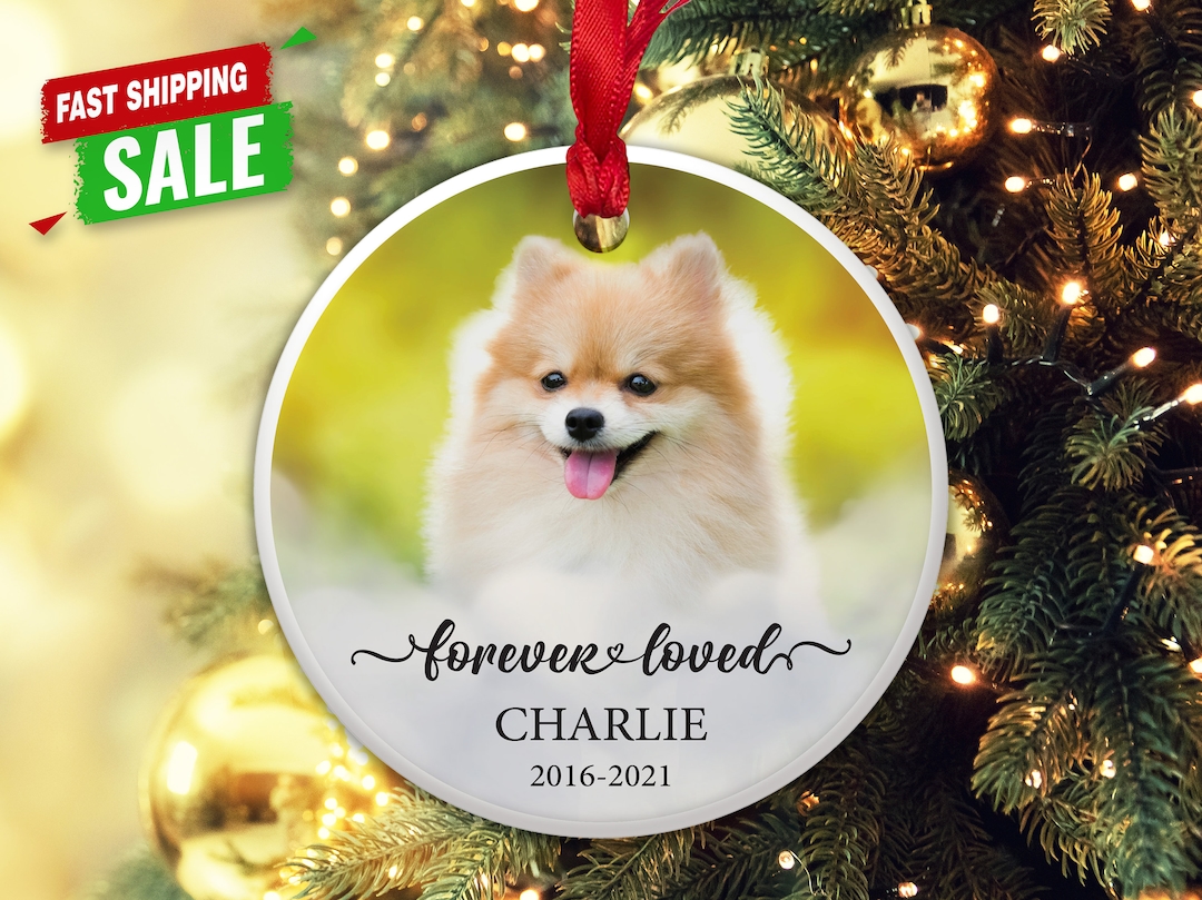 Dog Names For Christmas 