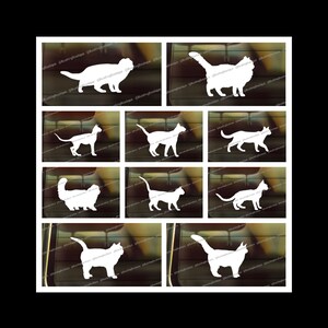 Cat Decal, Car Decal, Free Shipping