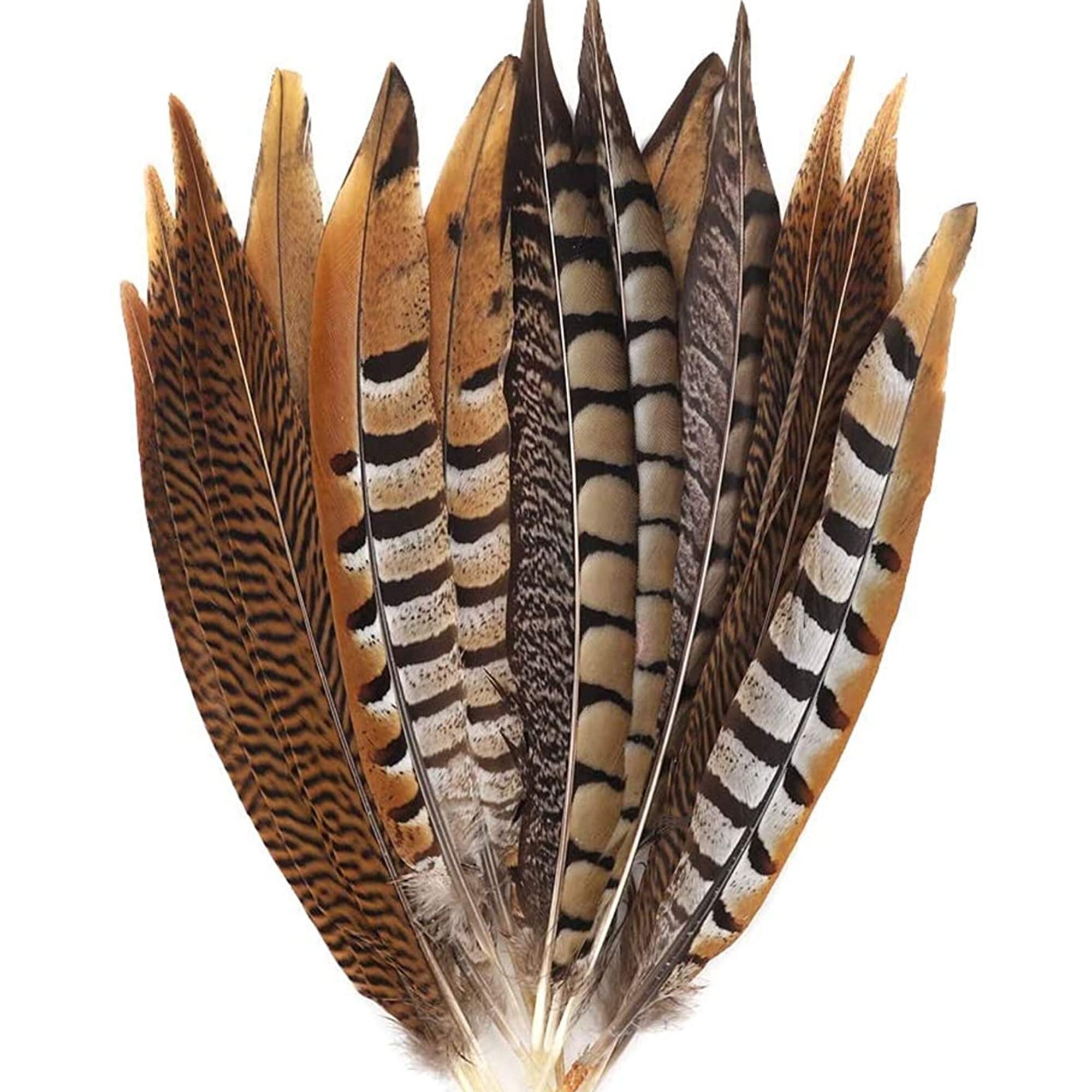Pheasant Feathers 15 Pcs Natural Pheasant Feathers for Etsy