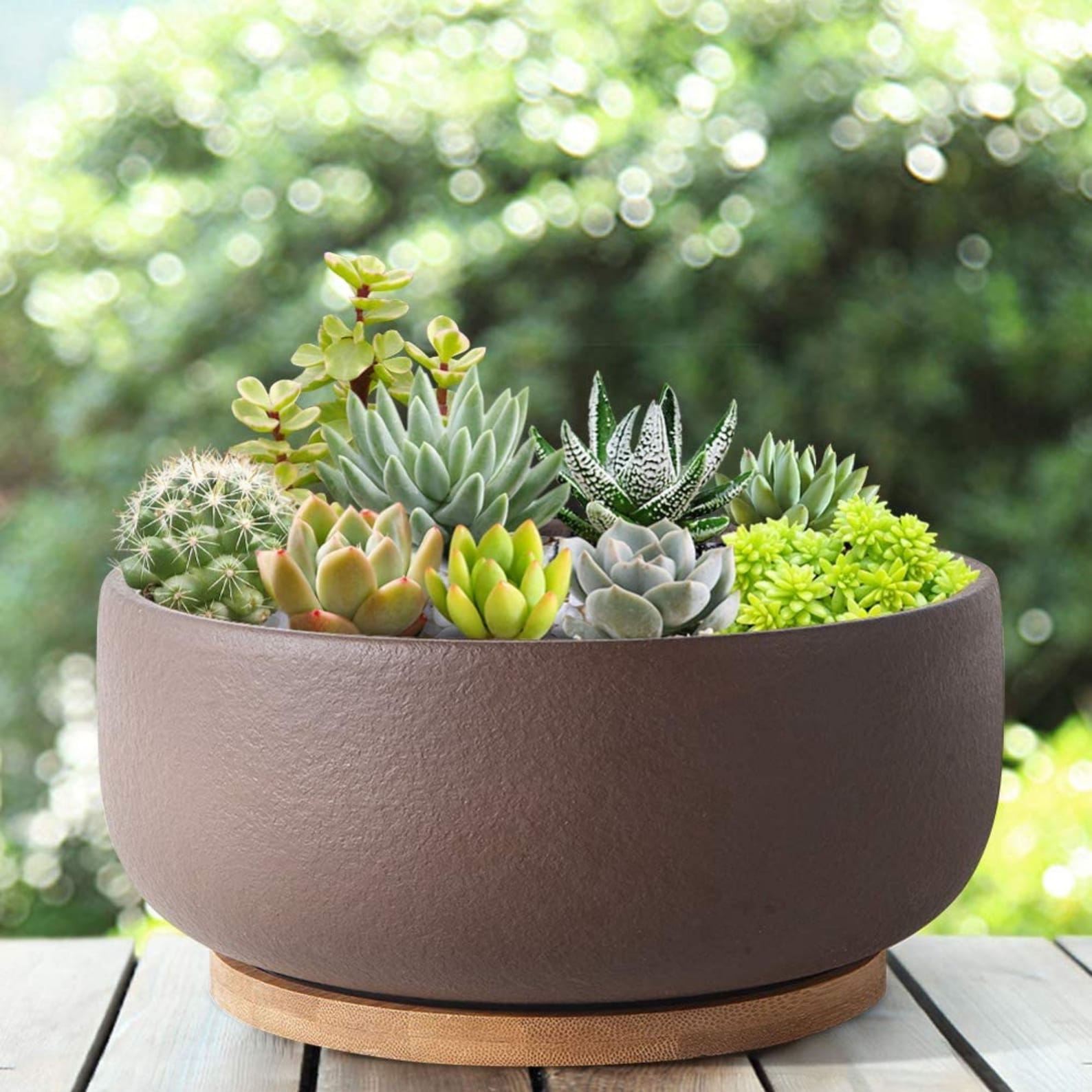 Bonsai Terracotta Pots