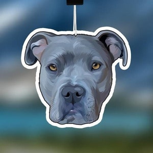 Pitbull accessories for humans store