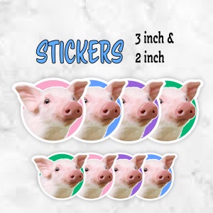 Pig Sticker, Cute Sticker for Pig Lover, Animal Sticker for Notebook, Planner, Journal, Laptop, Water Bottle, Phone Case, Locker, Crafts