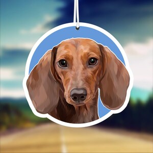 May include: A brown and tan dachshund with brown eyes looking directly at the camera. The dog is on a blue background with a white border.