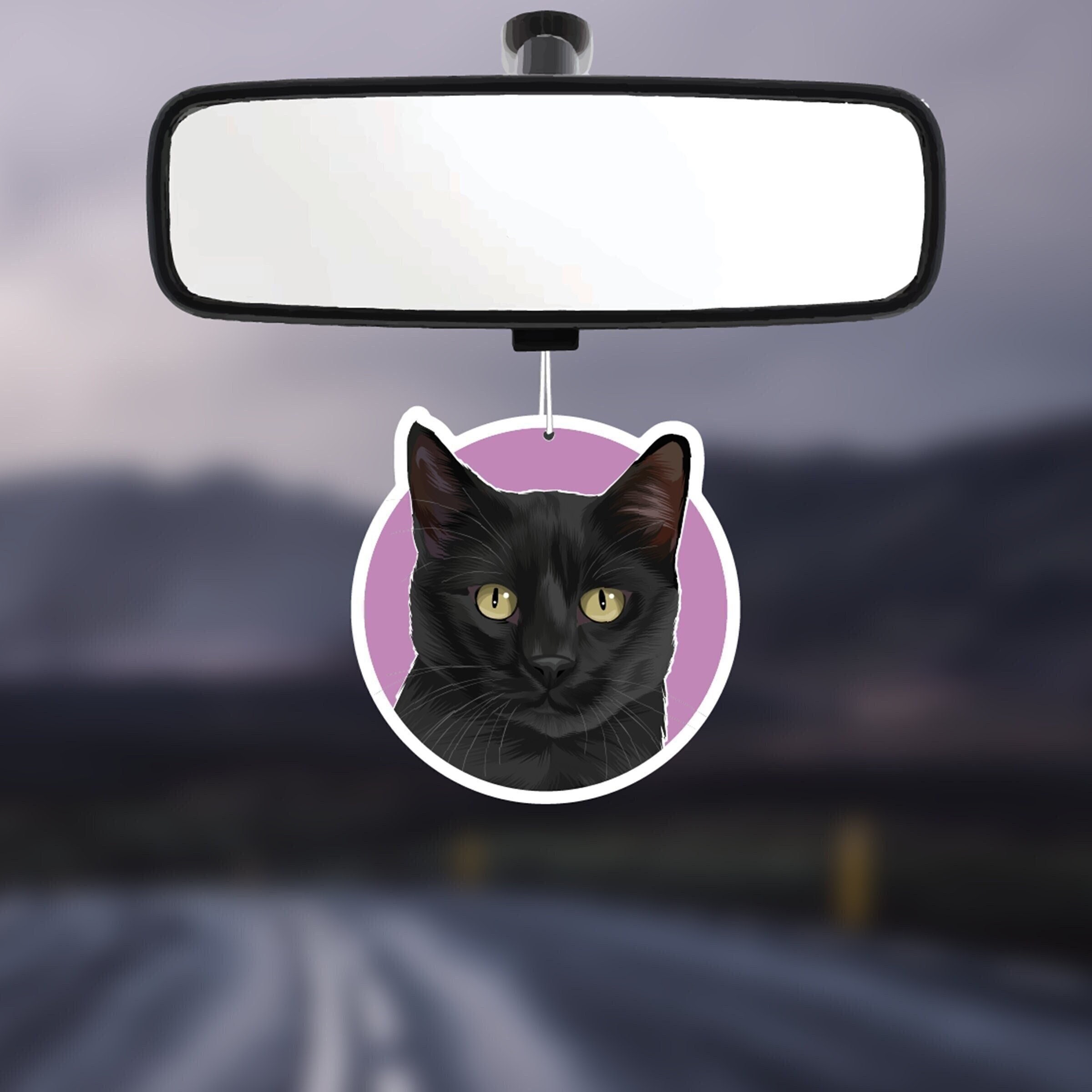 Cat Car Charm 