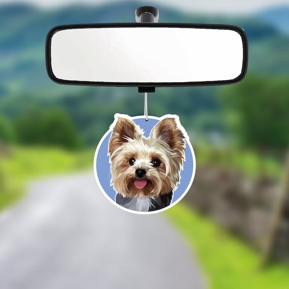 lovely car decoration dog with air