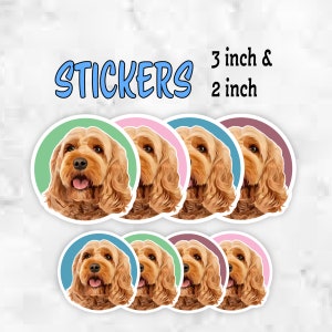 May include: Six round stickers featuring a cartoon illustration of a brown and white dog with a green, pink, blue, or brown background. The stickers are available in 3 inch and 2 inch sizes. The text "STICKERS" is written in blue at the top of the image.